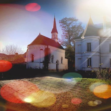 Chateau De Basche Assay Eksteriør billede